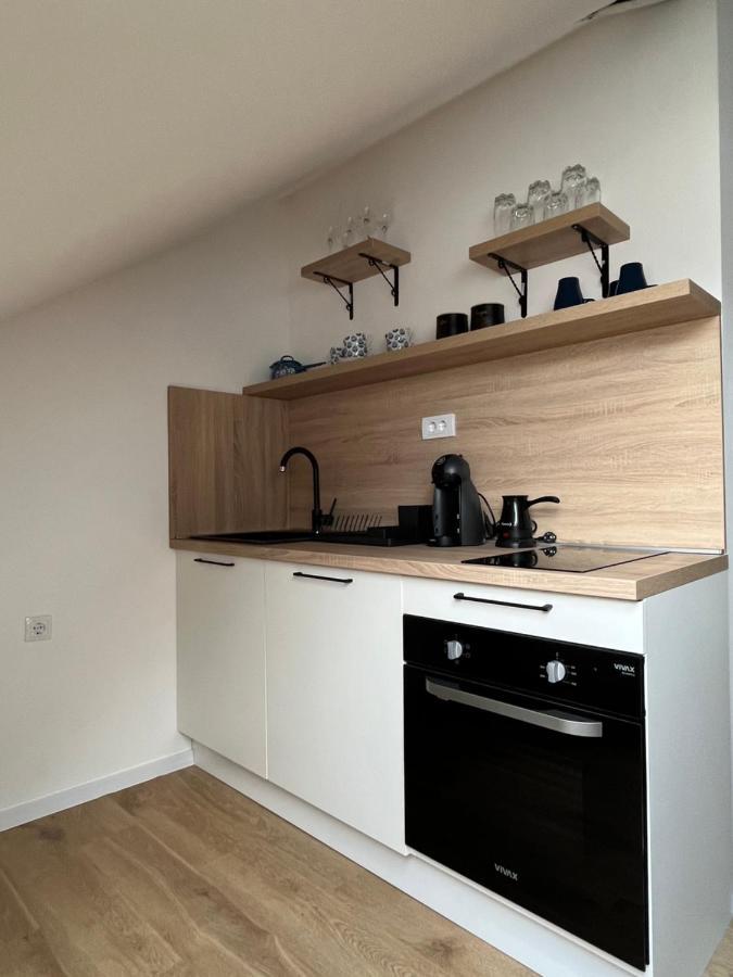 Loft Apart Плужине Екстериор снимка